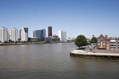 Rotterdam Erasmus köprü 