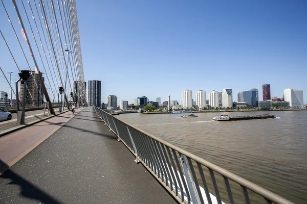 Vista da un ponte a Rotterdam — Foto Stock