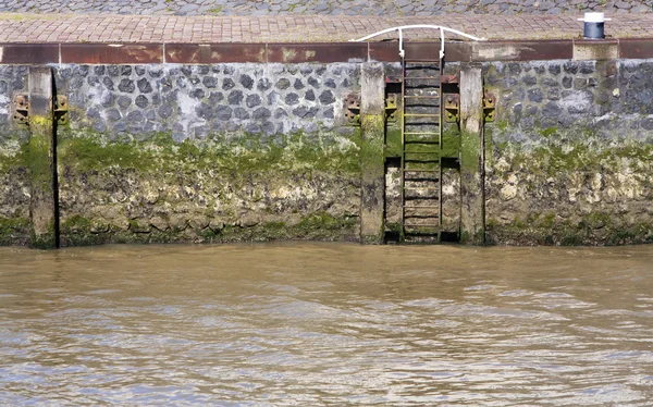 Muelle con escalera y más audaz — Foto de Stock