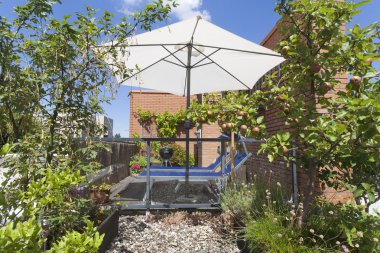 Çatı Teras Ağaçta asılı elmalı