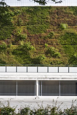 Yeşil ekolojik duvar