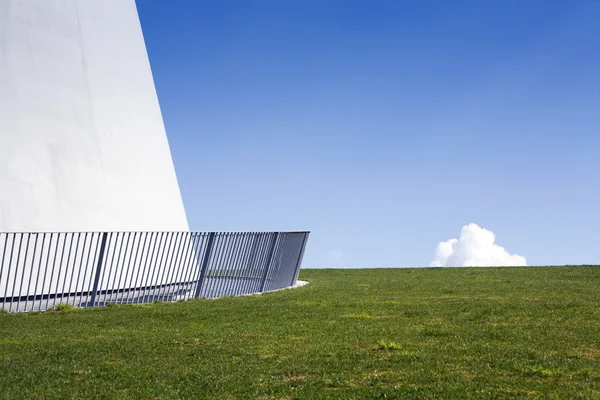 Erba su un tetto — Foto Stock