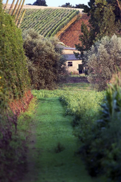 Pittoreske landbouw — Stockfoto