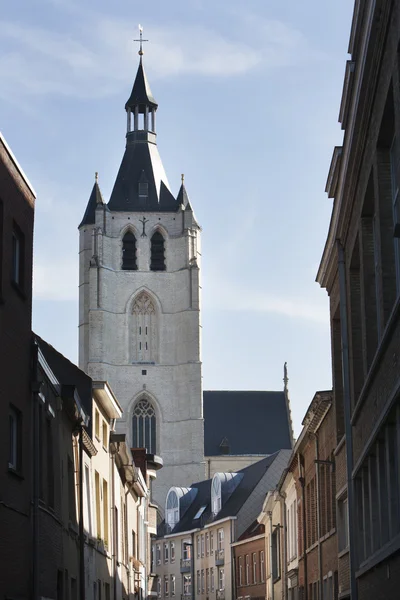 A Igreja de Nossa Senhora do outro lado do rio Dijle em Mechelen — Fotografia de Stock