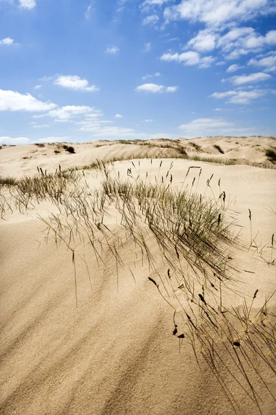 Duna de areia com alguma grama — Fotografia de Stock