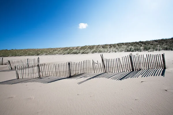 Cercas de madeira na praia — Fotografia de Stock