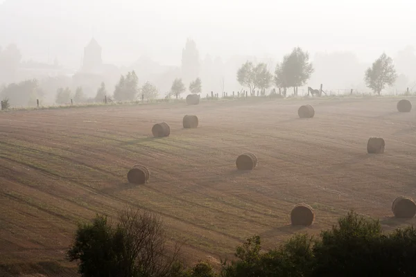 Туманний сільських сцени — стокове фото