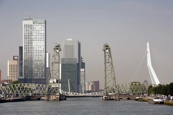 Rotterdam cityscape south bank — Stock Photo, Image