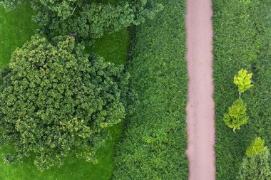Yeşil Bisiklet yolu