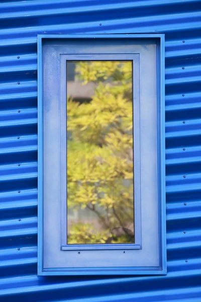Σκέψεις ενός δέντρου σε ένα παράθυρο του ένα σύγχρονο κτίριο μπλε μεταλλικό — Φωτογραφία Αρχείου