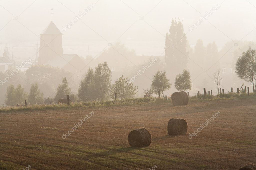 Misty rural scene