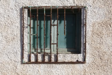 Kaktüs Bahçe ve duvar