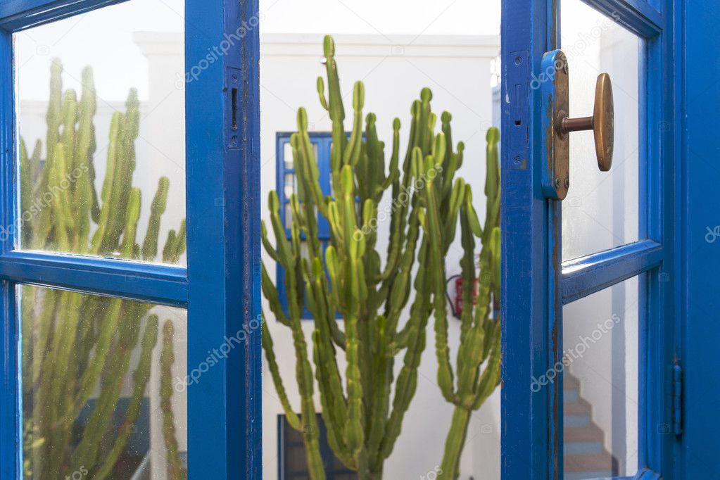 Cactus garden window