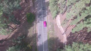 Çam ağaçlarında drone manzarası, çam ormanlarında eski bir yolda kırmızı araba sürüyor.