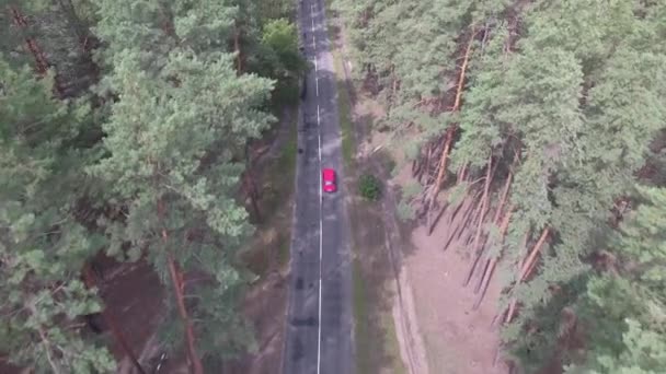 Vanaf een hoogte boven de bomen rijdt de rode auto langs een oude weg in een dennenbos — Stockvideo