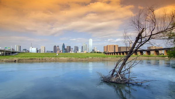 Dallas Panorama - Spojené státy americké — Stock fotografie