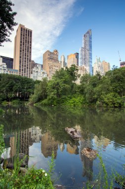 New York silüeti