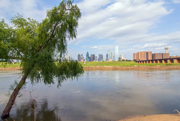 Obrázek Ukazuje Dallas Skyline Texasu Usa — Stock fotografie