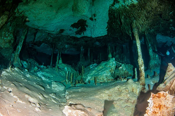 Nurkowanie Cenote Tak Meksyku — Zdjęcie stockowe