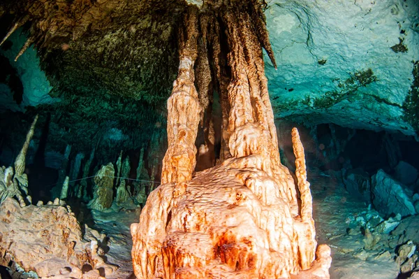 Potápění Cenote Tak Mexiku — Stock fotografie