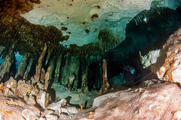 Nurkowanie Cenote Tak Meksyku — Zdjęcie stockowe