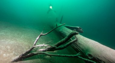 Görüntü Avusturya 'daki Attersee Gölü' nde Scuba Dalışı gösteriyor