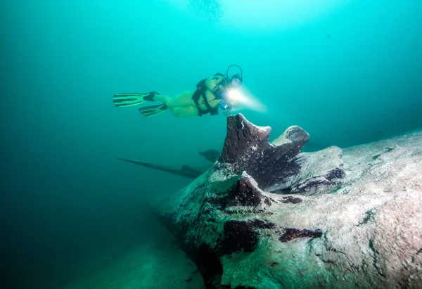 Görüntü Avusturya Daki Attersee Gölü Nde Scuba Dalışı Gösteriyor — Stok fotoğraf