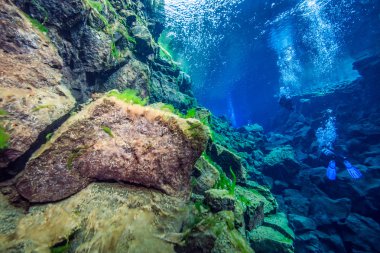 Scuba diving İzlanda