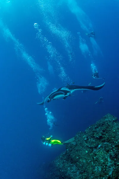 Manta Ray - Scuba diving — Stock Photo, Image