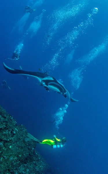 Manta Ray - duiken — Stockfoto