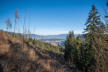 Avusturya dağ manzarası