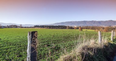 Avusturya dağ manzarası