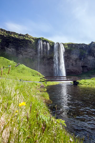 Vodopád Seljalandsfoss, Island — Stock fotografie