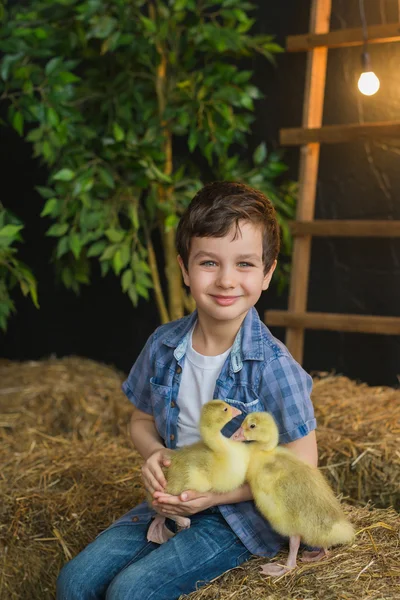 농장에 그의 손에 새끼 기러기와 함께 귀여운 소년의 초상화 — 스톡 사진