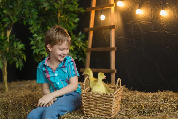 어린 소년 작은 새끼 기러기와 농장에서 미소에 보이는 — 스톡 사진