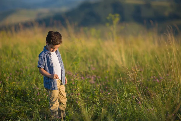 Милый маленький мальчик стоит в поле и смотрит вниз — стоковое фото