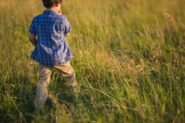Маленький мальчик в голубой рубашке выходит на поле — стоковое фото