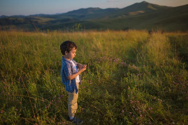 Милый маленький мальчик стоит на поле на закате — стоковое фото