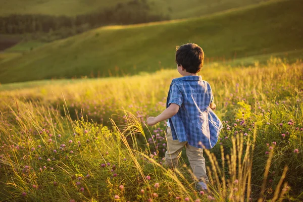 A little boy goes down on a hill at the sunset — Stock Photo, Image
