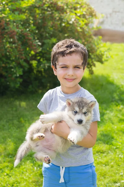 허스키 강아지와 함께 귀여운 소년의 초상화 — 스톡 사진