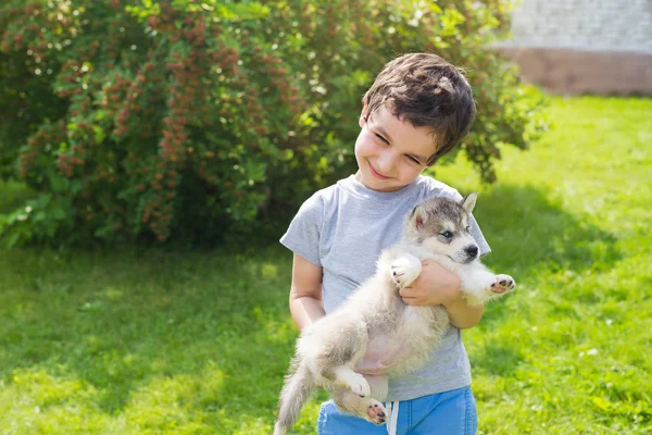 Sorrindo bonito menino segura em uma mãos um cachorro husky em um jardim — Fotografia de Stock