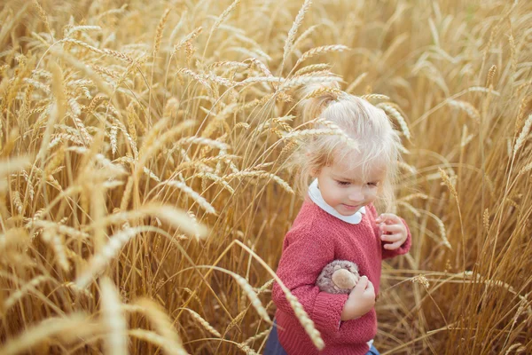 Πορτρέτο του ένα όμορφο μικρό κορίτσι σε κίτρινο πεδίο γεωργικών — Φωτογραφία Αρχείου