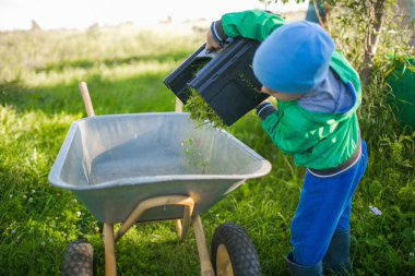 Küçük bir çocuk bir ot el arabası içine atıyor