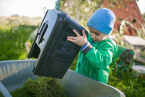 A little boy is dumping a grass into the wheelbarrow — Stock Photo, Image