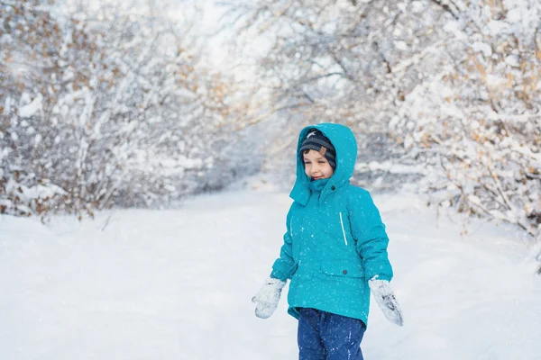 A cute little boy stands in winter forest — Stock Photo, Image