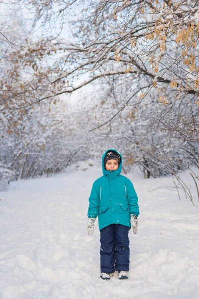 A cute little boy stands in winter park — Stock Photo, Image