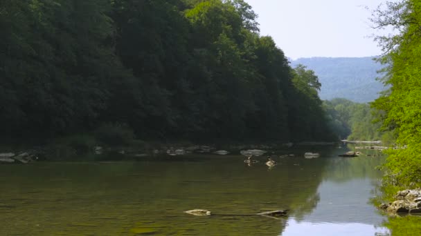 Río en las montañas — Vídeos de Stock