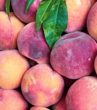 Güzel ve lezzetli şeftaliler.