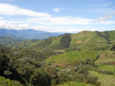 Bir ayçiçeğinin değiştirilmemiş yakın çekimi.