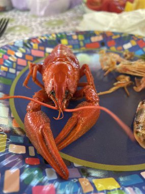 Tabakta kaynamış kanser.